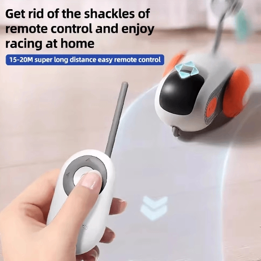 Interactive Rolling Cat Toy